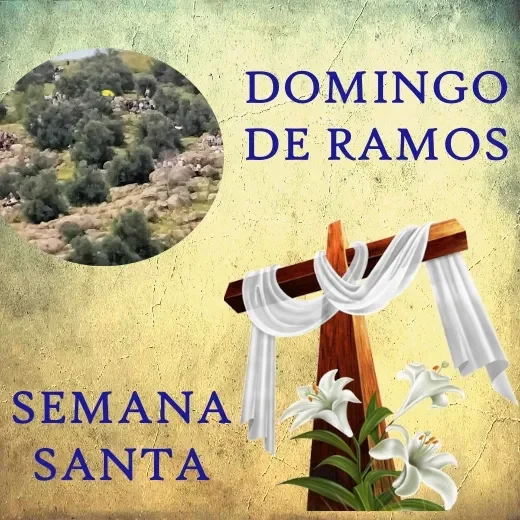 03 DOMINGO DE RAMOS Y SEMANA SANTA