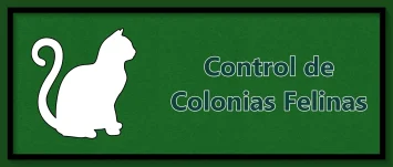 IMAGEN ESTERILIZACIÓN COLONIAS FELINAS