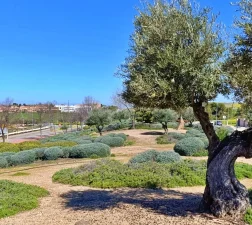 PARQUE AGUARDENTERO II-2