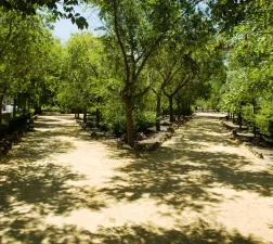 PARQUE DE LA CALERA 1