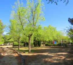 PARQUE DE LA CALERA 1