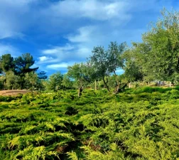 PARQUE DE LA LIA 3